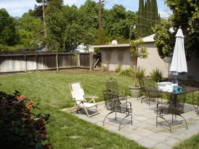 backyard.jpg