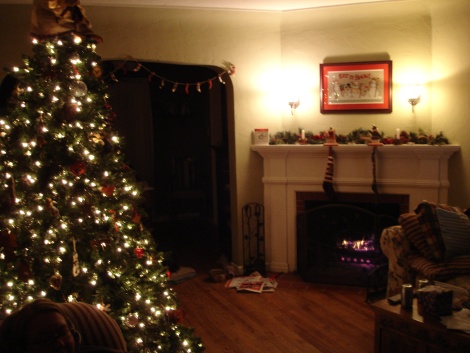 xmas_2008_lroom.jpg