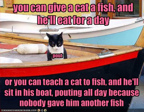 funny-pictures-cat-pouts-and-wants-more-fish.jpg