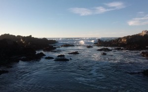 10818979_10203112293583015_2069527135_n